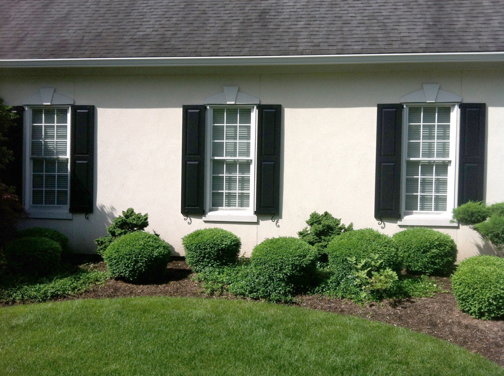 Exterior Enhancements: After. Shutters add dimension and interest